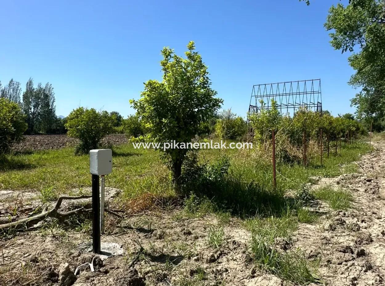 Okçular Da Satılık 500 M2