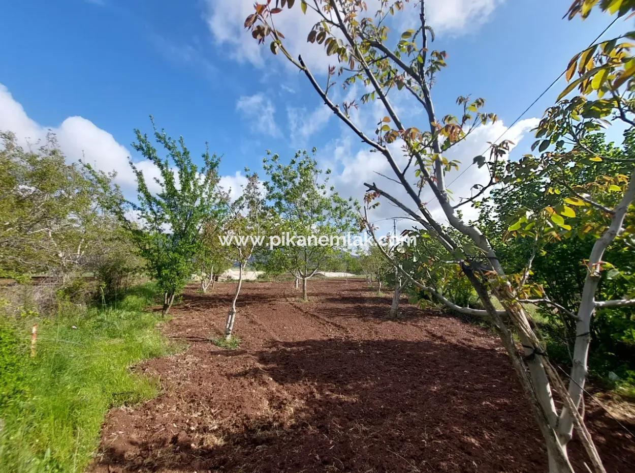 Çameli Kızılyakada  1000 M2 Arazi, Satılık Veya Ortacadan 2+1 Daire İle Takas