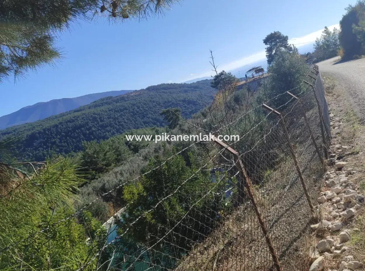Antalya Finike Alacadağda Deniz Ve Doğa Manzaralı 8500 M2 Arazide 120 M2, 3+1 Tek Katlı Ev Satılık