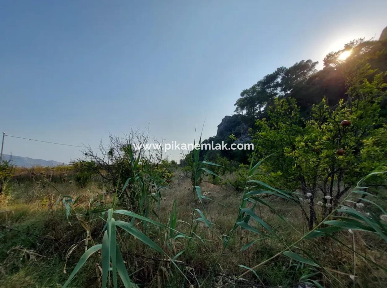 Köyceğiz Çandırda Dalyan Kanalına Yakın 15 000 M2 Müstakil Arazide Tek Katlı Ev Satılık