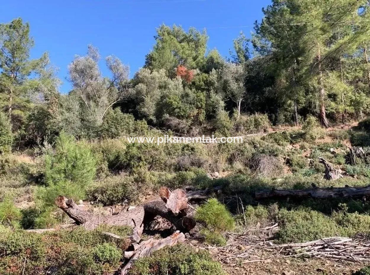 Göcek Te Satılık Yatırıma Uygun Arazi