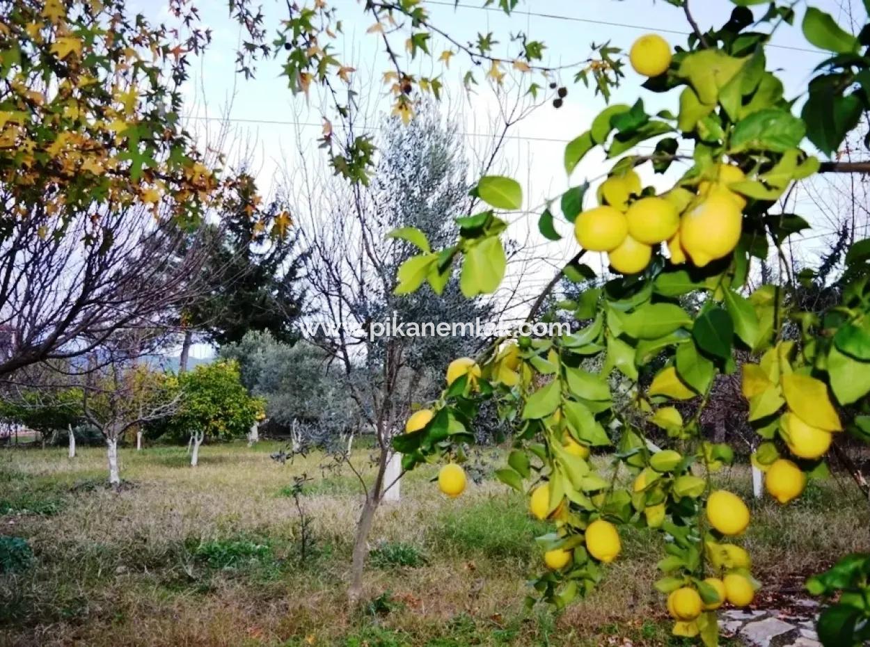Zeytinalanında Satılık Göl Manzaralı Müstakil Dubleks