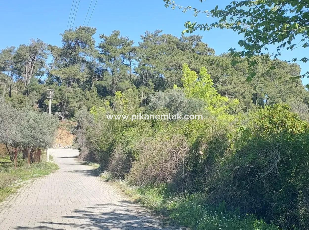 Muğla Köyceğiz Çandır’da Göl Manzaralı Köy Evi Ve Zeytinlik Arazi Satılık