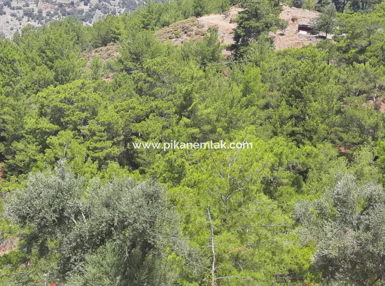 Dalyan Gökbelde Göl Ve Deniz Manzaralı Müstakil Tapulu Satılık 82 M2 Arazi Satılık