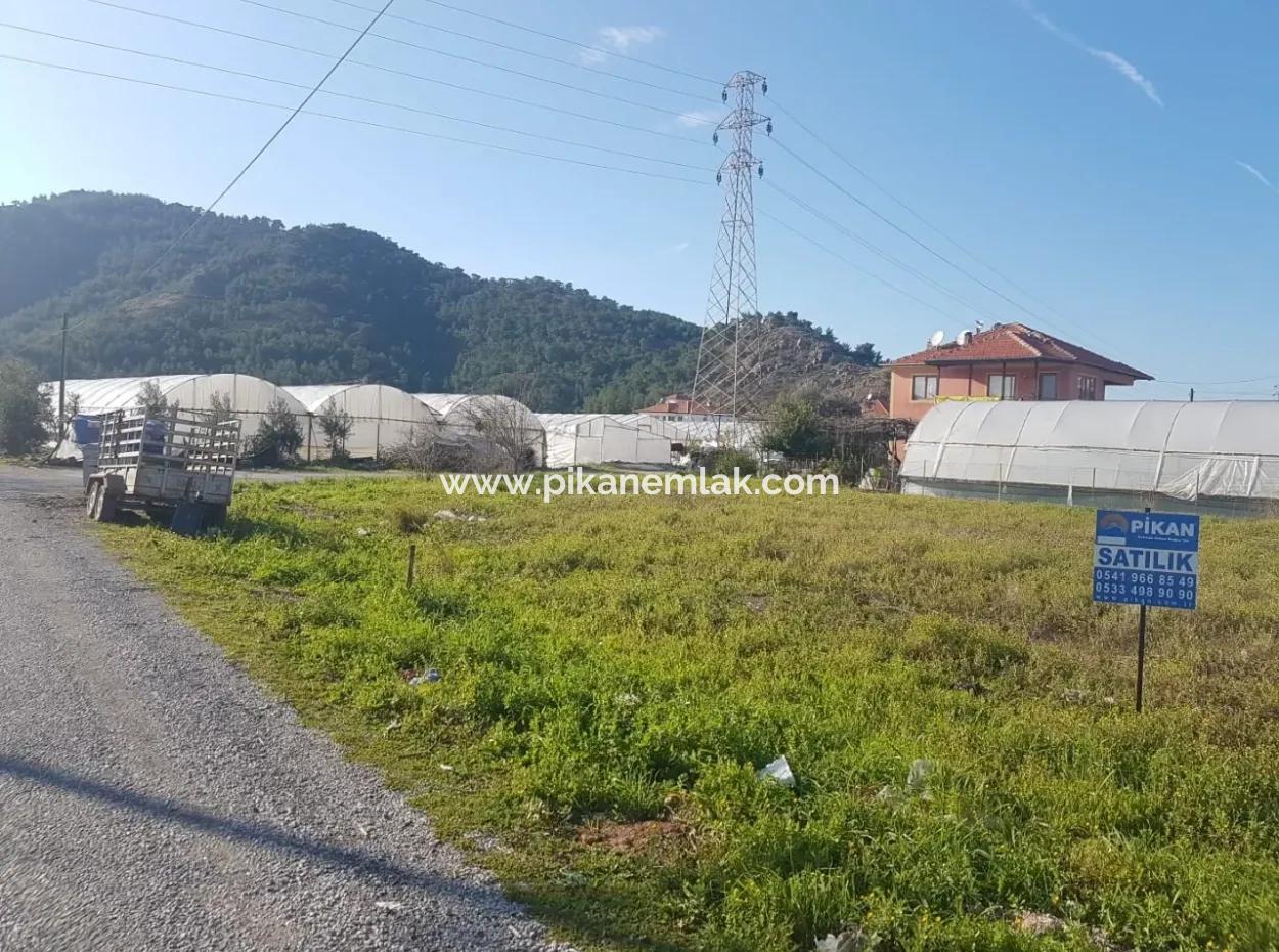 Ortacada Satılık Köşe Başı Arsa