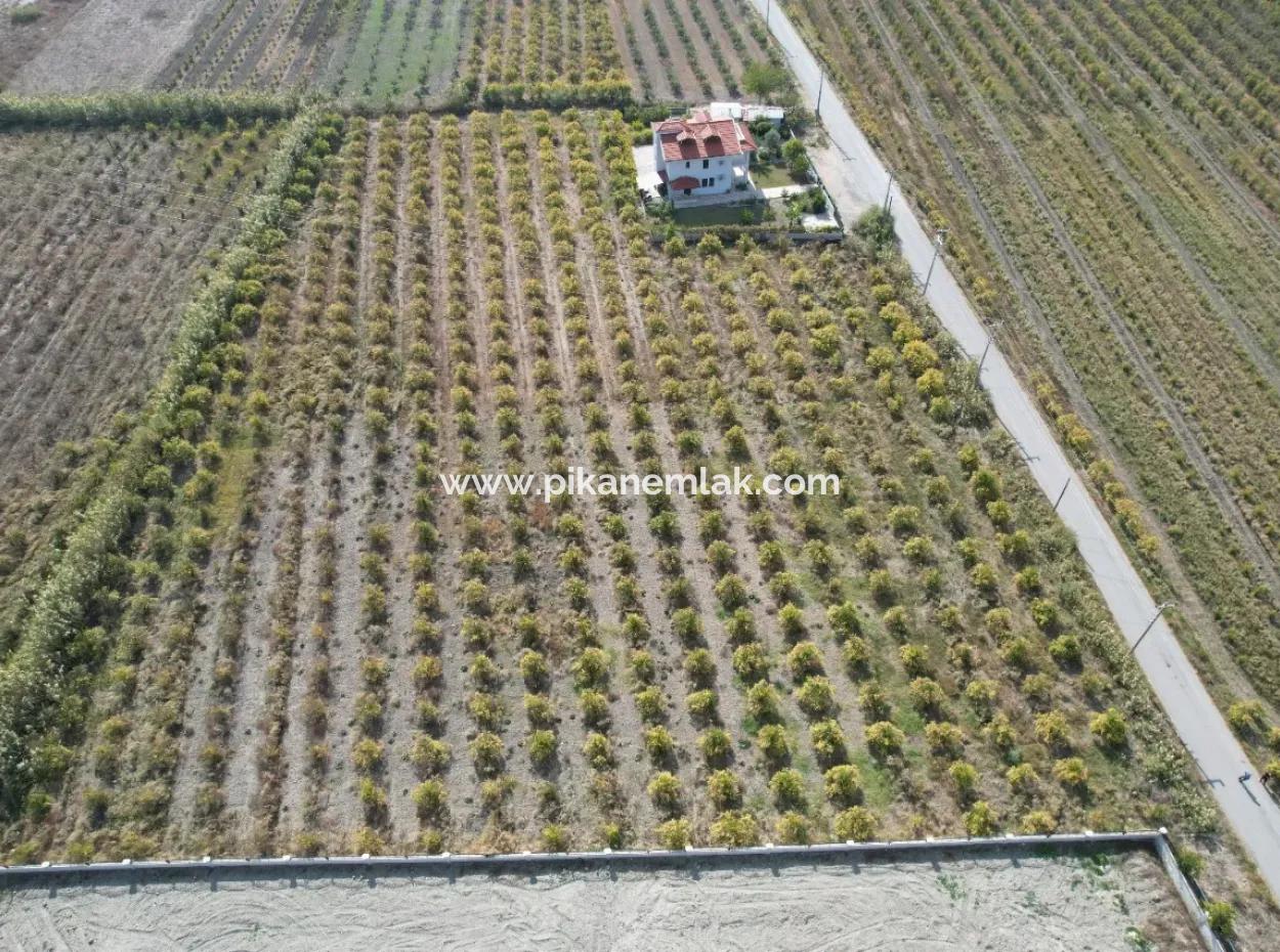 Muğla Dalyanda Kanala 2,Ci Parsel Müstakil 5.000 M2, 250 M2 İnşaat Hakkı Olan Arazi Satılık