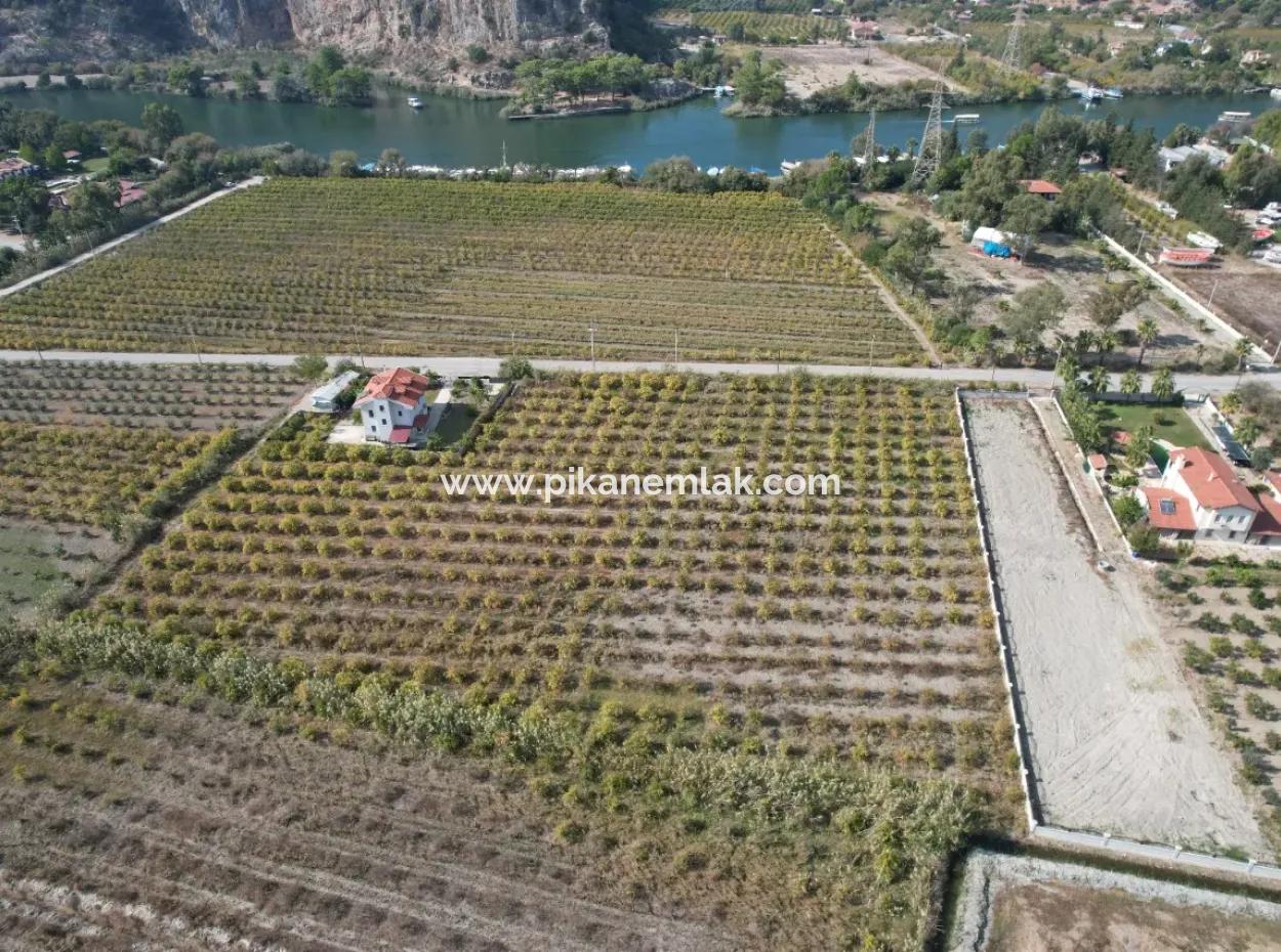 Muğla Dalyanda Kanala 2,Ci Parsel Müstakil 5.000 M2, 250 M2 İnşaat Hakkı Olan Arazi Satılık