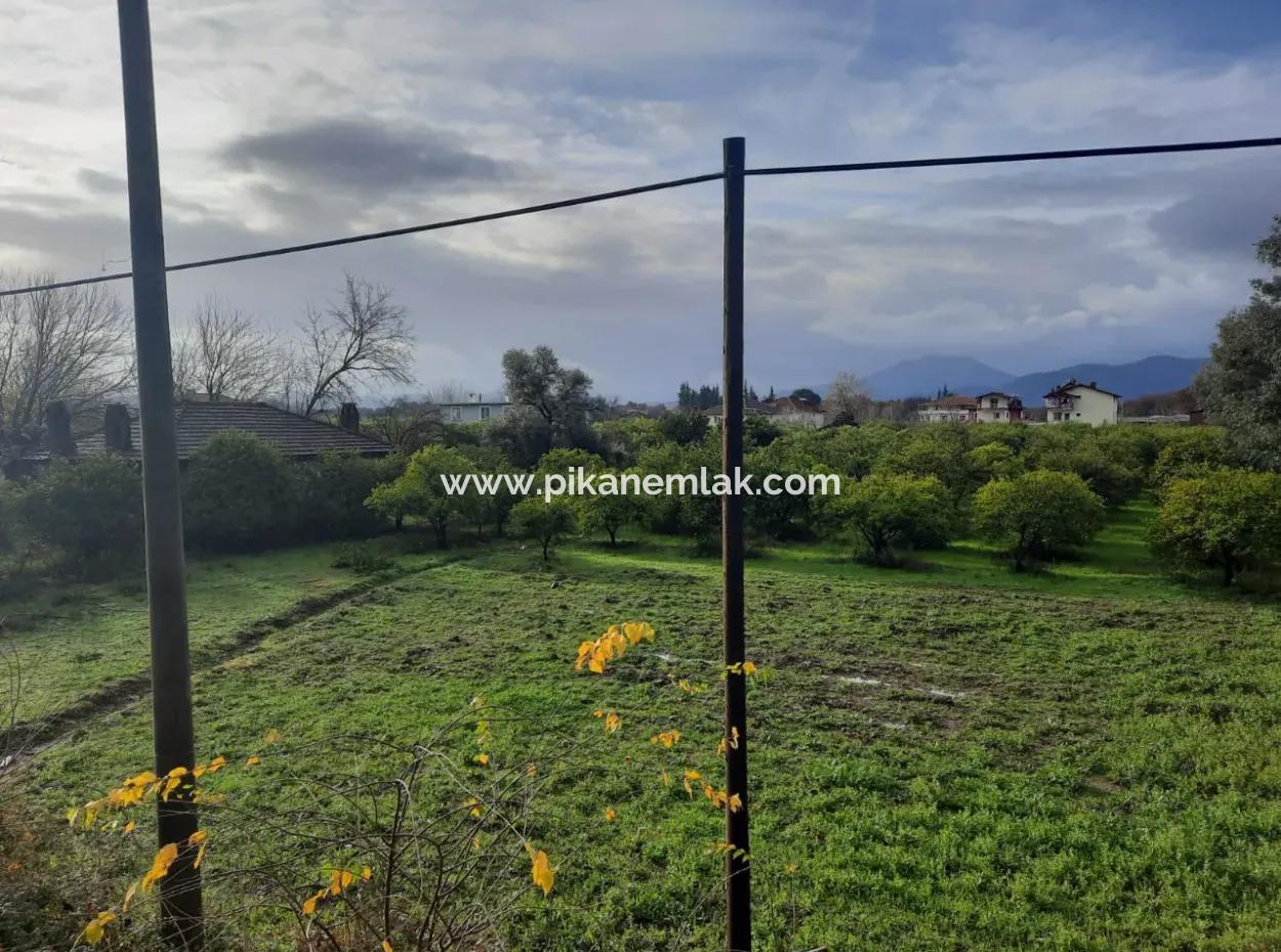 Köyceğiz Toparlar’da Ana Yola Cepheli 2.800 M² Ticari/Konut İmarlı Arsa Satılık