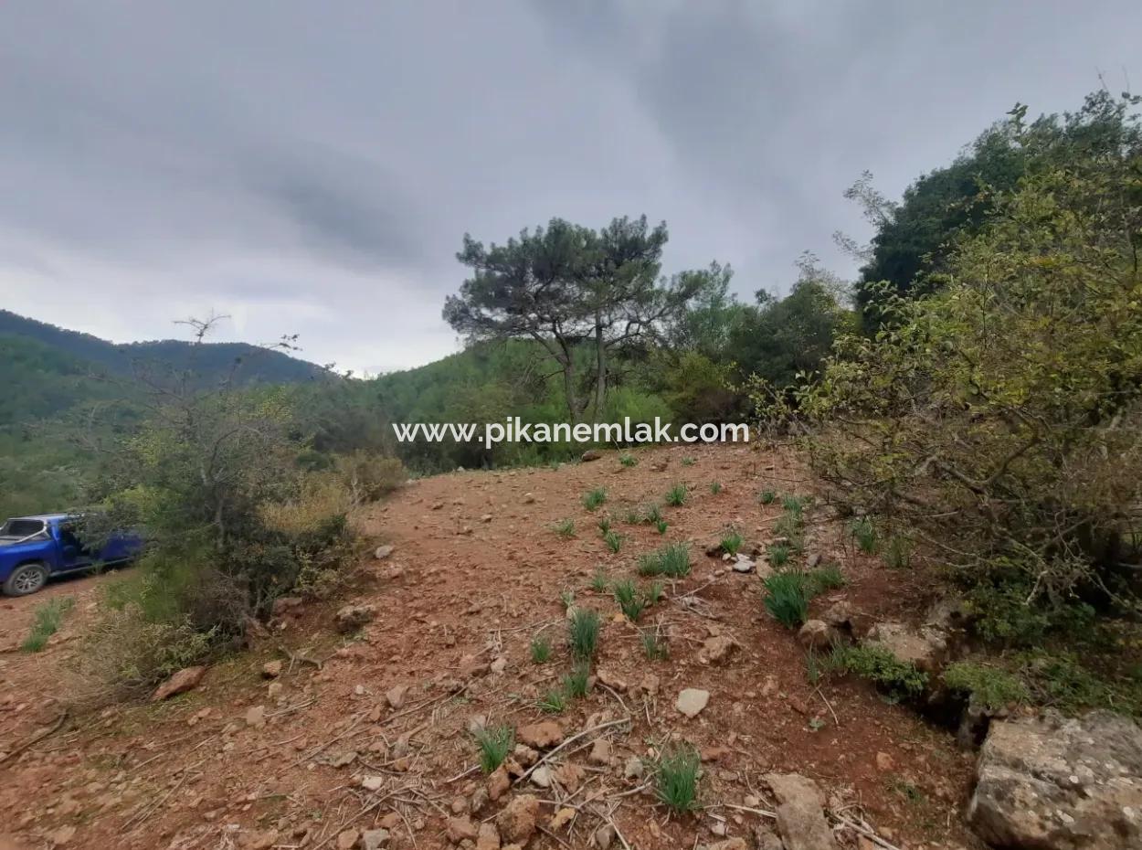 Muğla Dalyan Gökbelde Doğa İçinde 24.000 M2 Müstakil Arazi Satılık