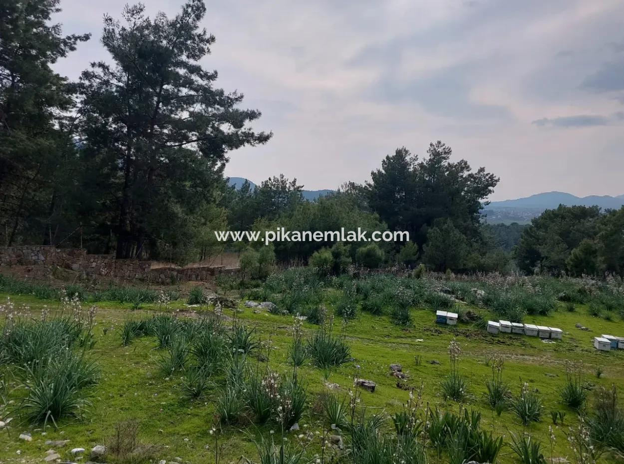 Dalaman Gürköyde 3.500 M2 Deniz Manzaralı Müstakil Arazi Satılık