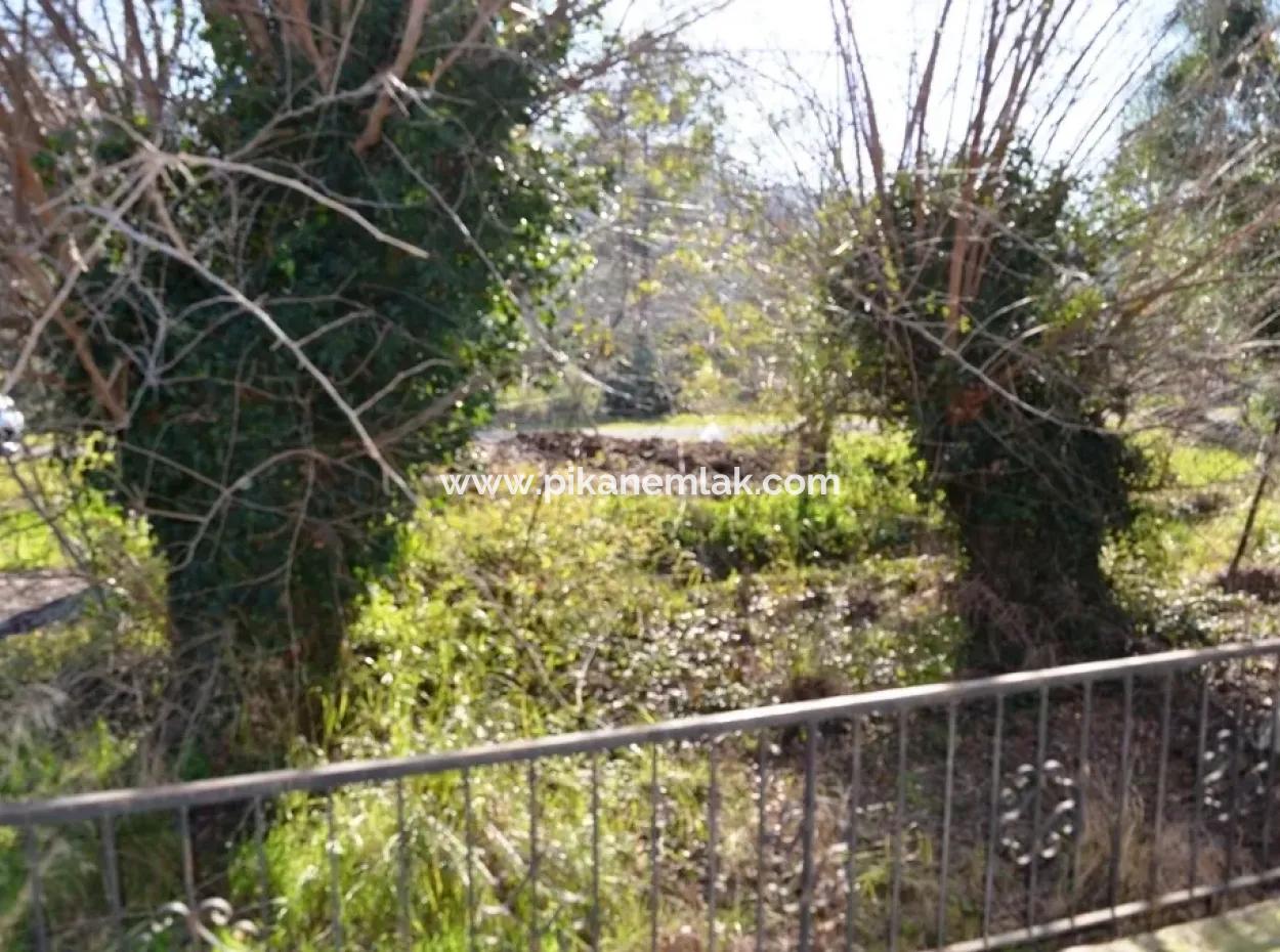 Beyobasında Satılık Köy Evi Ve Portakal Bahçesi