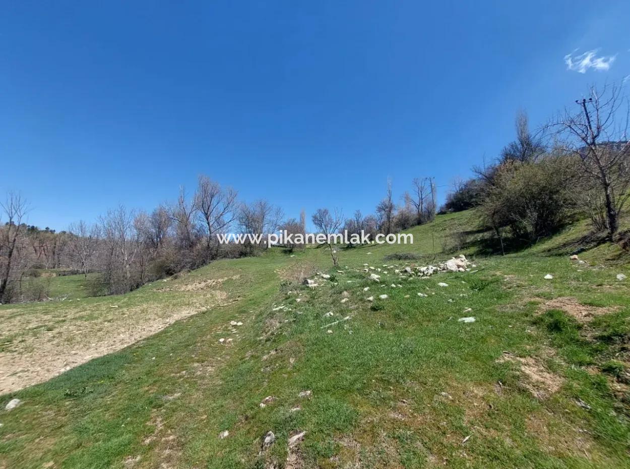 Çameli Cevizlide 650 M2 İmarlı Arsalar Satılık