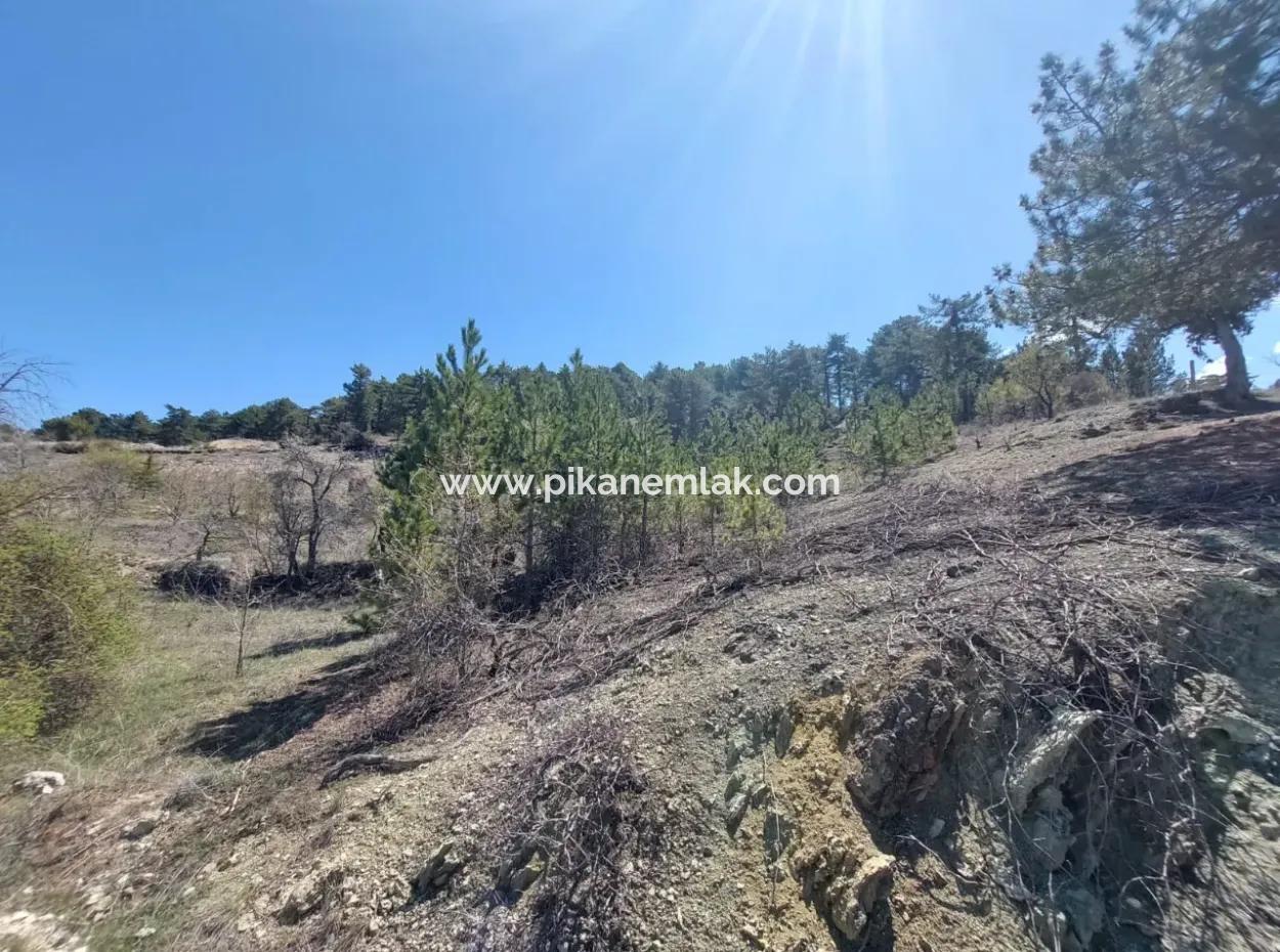 Çameli Gökçeyakada Satılık Kelepir Arazi 1 844 M2 Müstakil  Arazi Satılık.