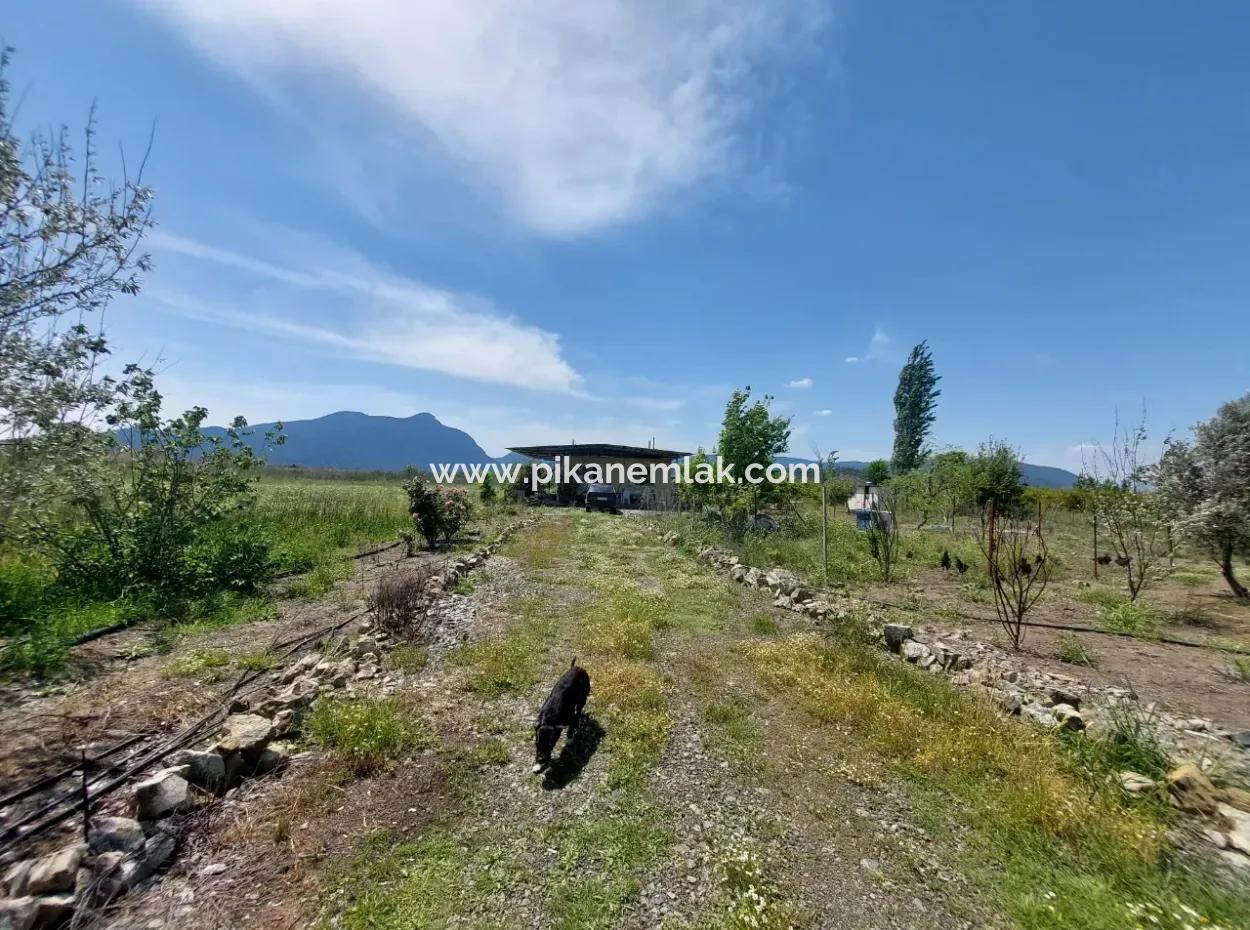 Muğla Ortaca Tepearasında Satılık Müstakil Ev Ve Arazi