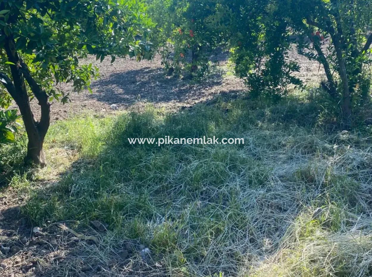 Ortaca Kemaliyede  Rızai Taksimli 500 M2 Arazi Acil Satılık