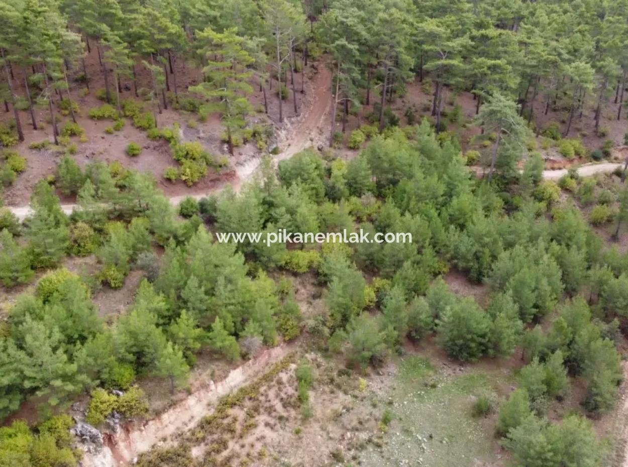 Fethiye Kızılbelde 523 M2 % 20 Kelepir Konut İmarlı Arsa Satılık