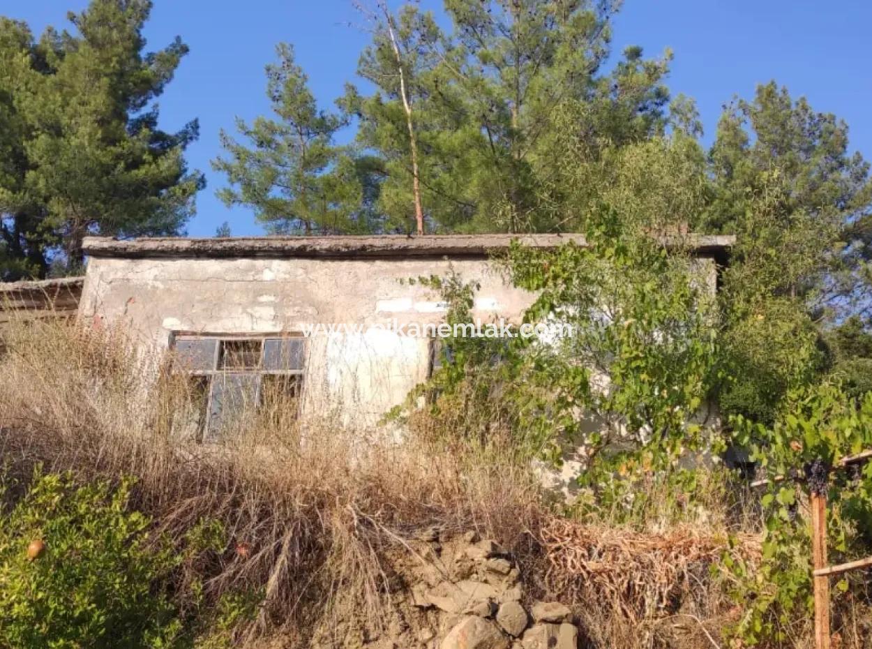 Muğla, Dalaman, Elcik 1 100 M2, Müstakil Arazide, 60 M2 Köy Ev Satılık