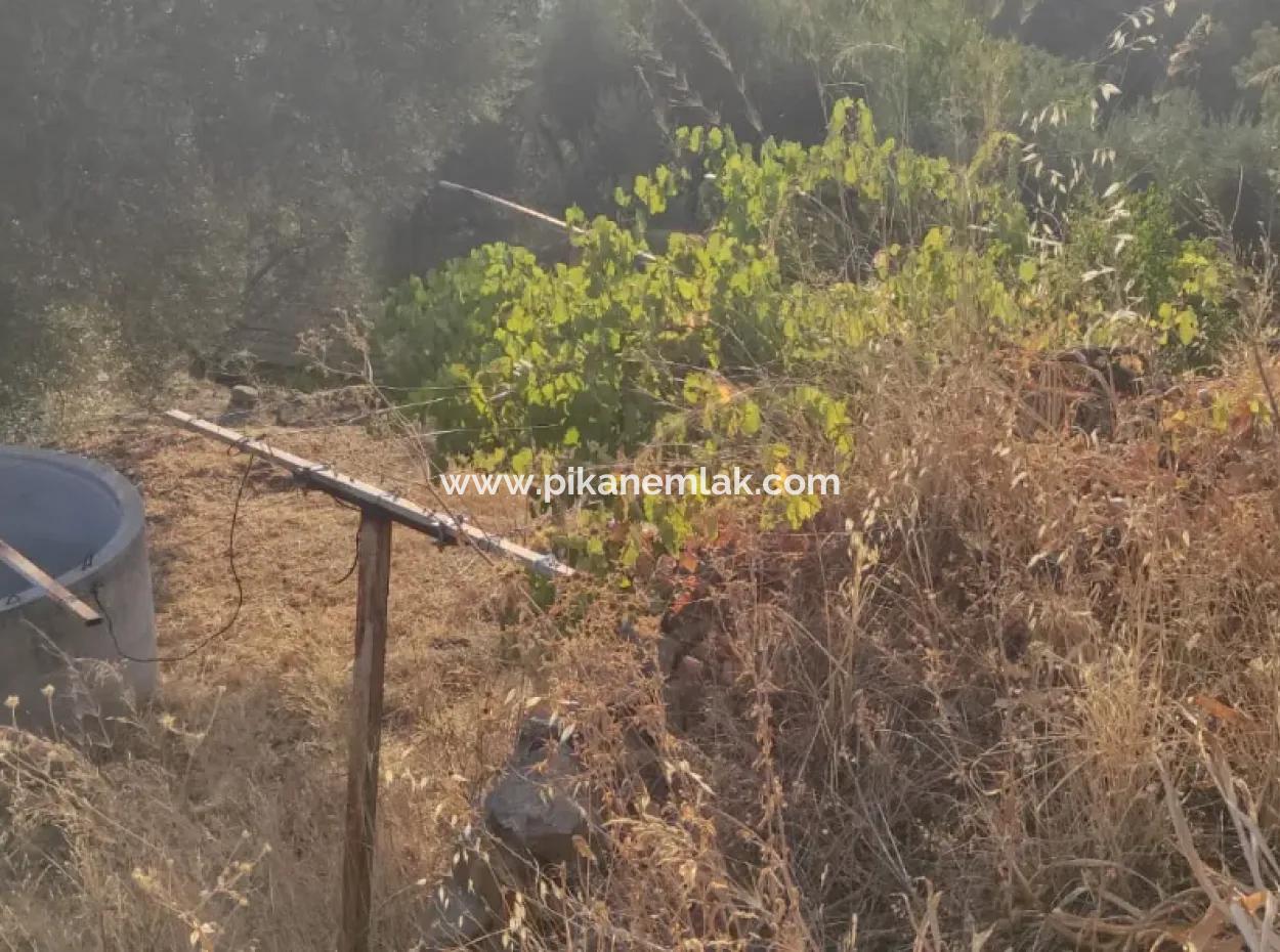 Muğla, Dalaman, Elcik 1 100 M2, Müstakil Arazide, 60 M2 Köy Ev Satılık