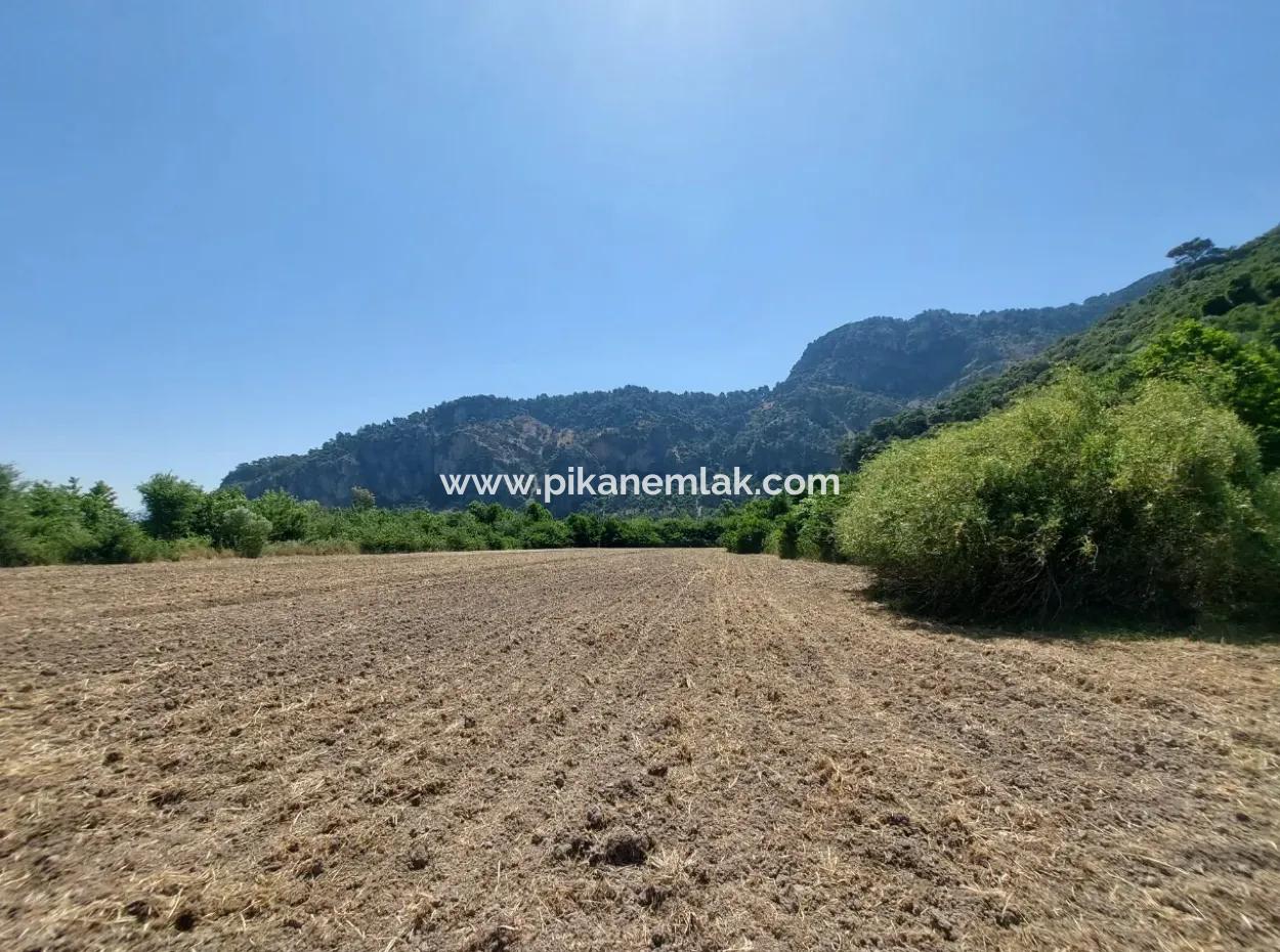 Muğla Marmarlıda 7.750 M2 İmar Planı İçinde Yatırıma Uygun Kelepir Arsa  Satılık