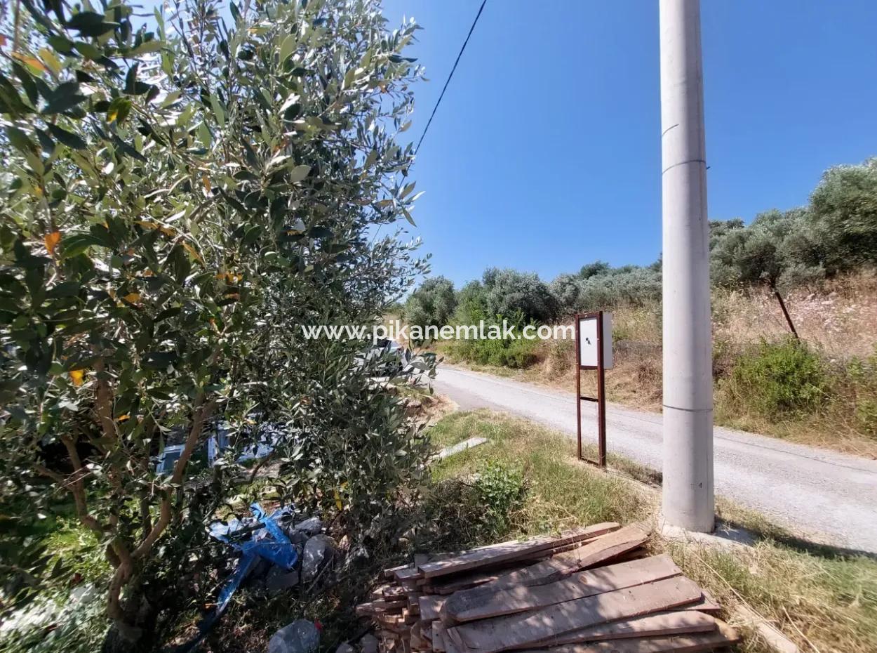 Ortaca Eskiköyde 2.500M2 Hazine Arazisinde Numaratajı Olan Bina İle Devren Satılık