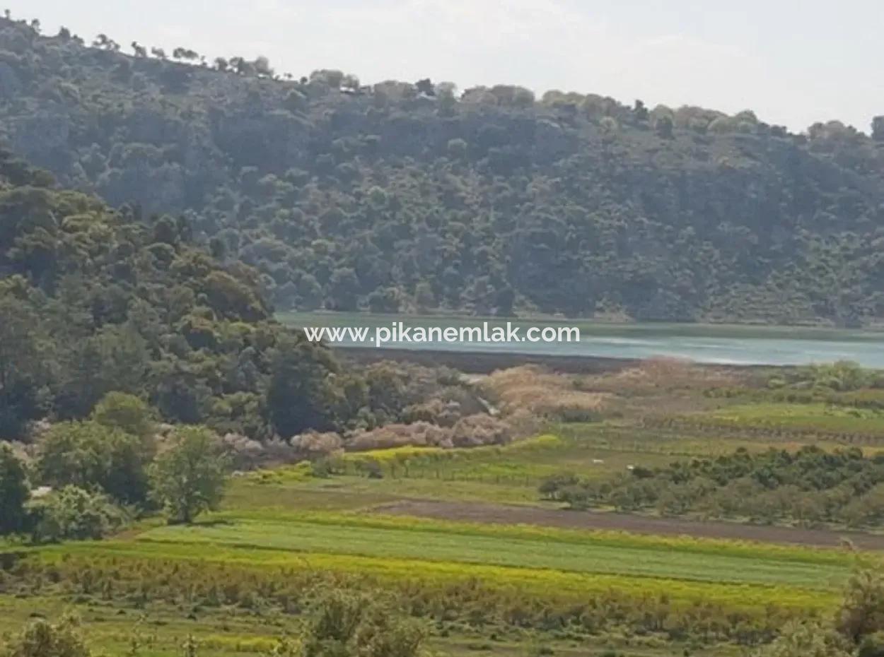 Muğla Dalaman Kapıkargın'da Göle Sıfır Hazine Arazisi – Zilliyet Devri Edilecek 