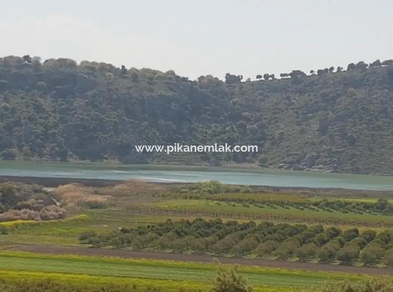 Muğla Dalaman Kapıkargın'da Göle Sıfır Hazine Arazisi – Zilliyet Devri Edilecek 
