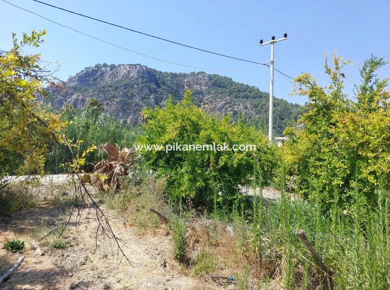 Muğla Dalyan'da İmara Sıfır, Dalyan Kanalına Yakın 2.800 M² Satılık Arazi