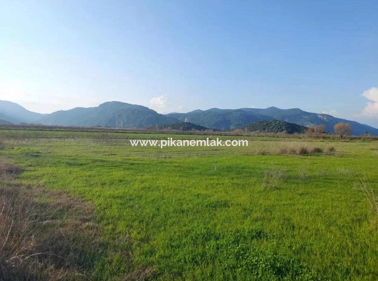 Ortaca Güzelyurt’ta 14.500 M² Verimli Arazi Uzun Süreli Kiralık – Hayvancılığa Uygun