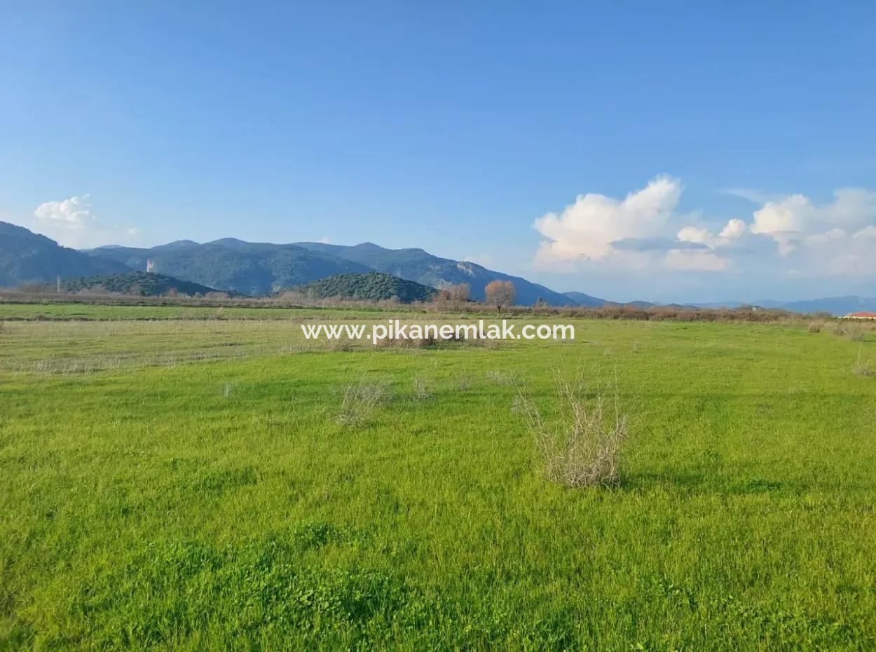 Ortaca Güzelyurt’ta 14.500 M² Verimli Arazi Uzun Süreli Kiralık – Hayvancılığa Uygun