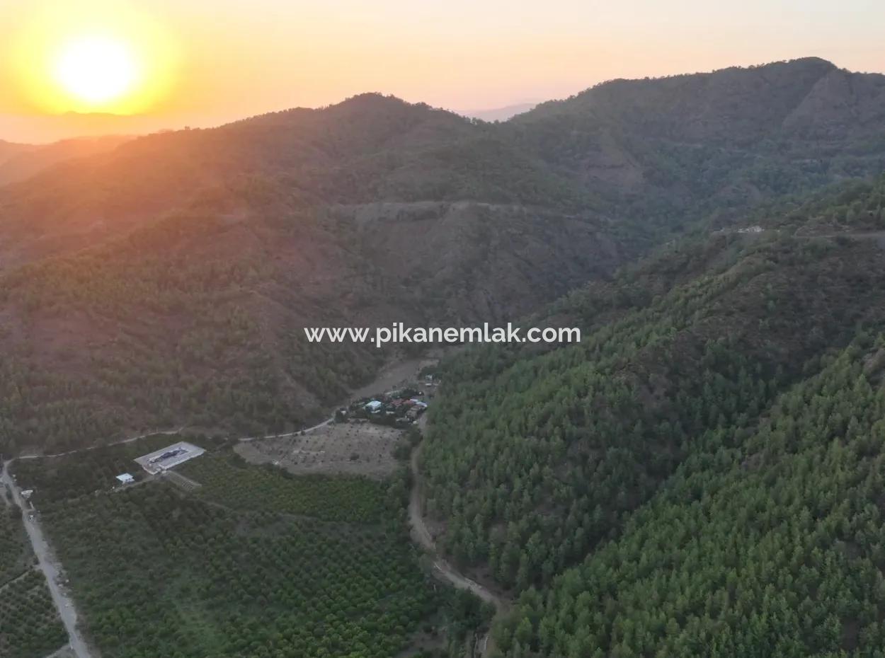 Ortaca Çaylı’da 150 M² İnşaat Hakkı Olan Müstakil 5.000 M² Limon Bahçesi Satılık Veya Takas