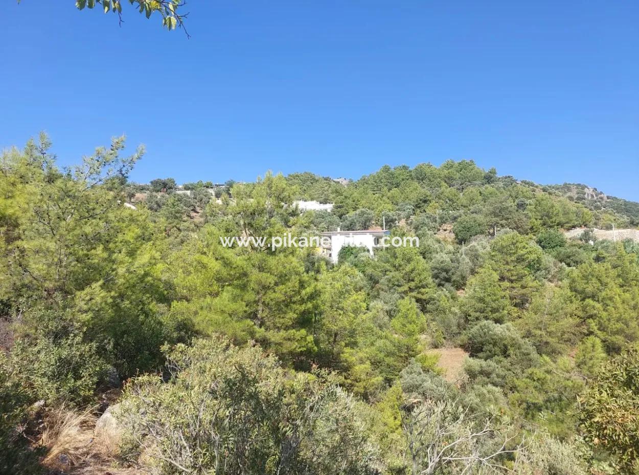 Muğla Ortaca Gökbel’de Satılık Müstakil Tapulu  238 M2 Hobi Bahçesi