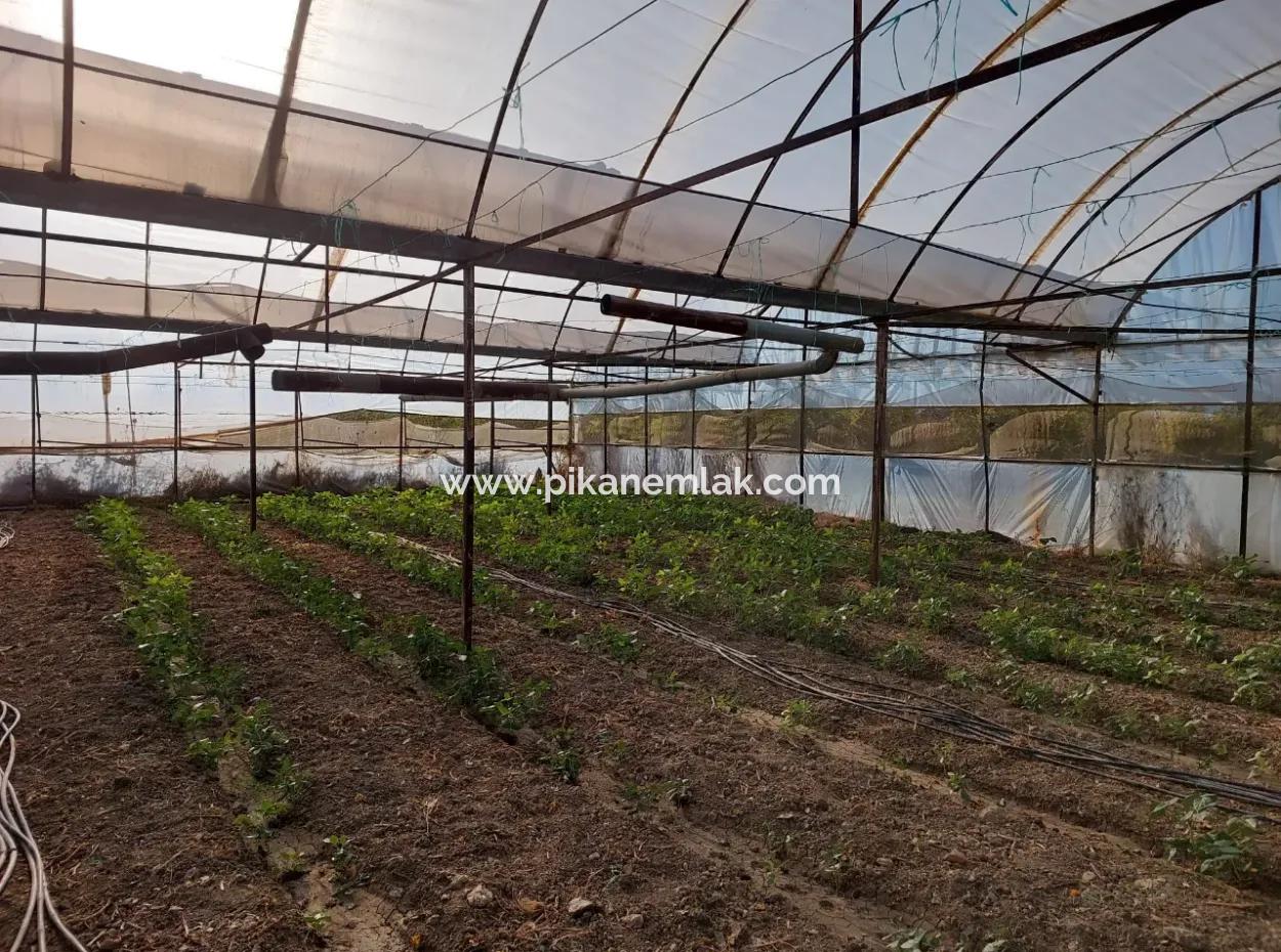 Ortaca Eskiköy’de 5.850 M² Göl Manzaralı Arazi Ve Köy Evi Satılık