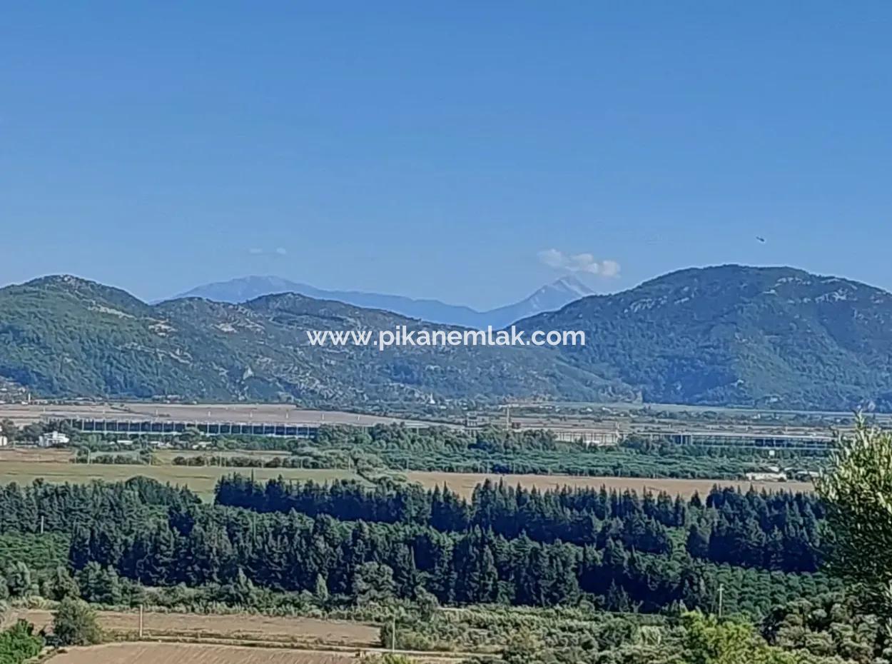 Ortaca Fevziyede Deniz Ve Doğa Manzaralı  Kelepir Müstakil Zeytinlik Satılık