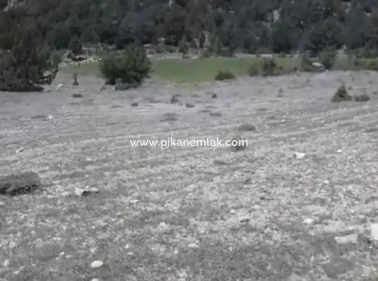 Çameli Ayvacık Ta 1770 M2 Tarla Satılık