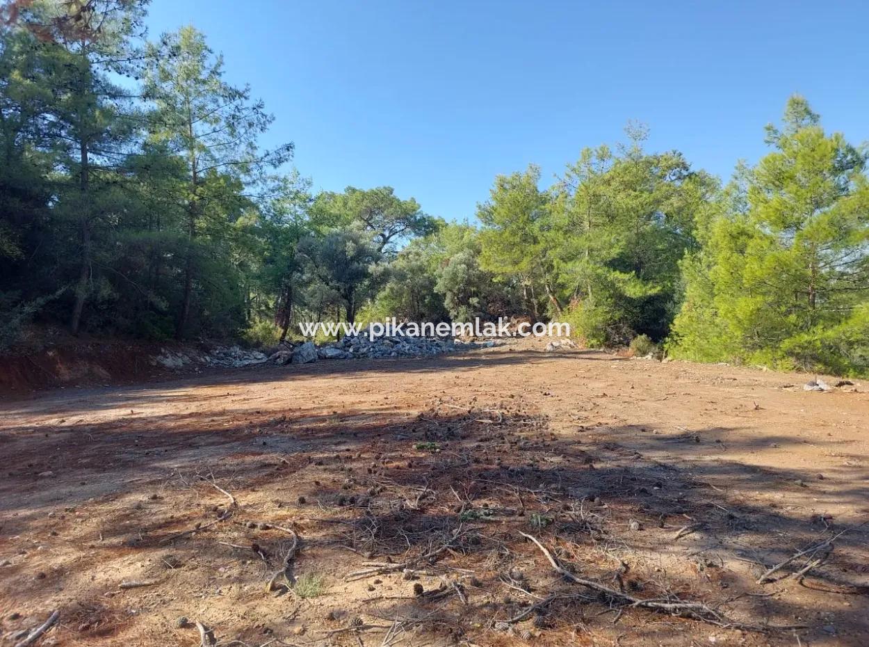 Ortaca Gökbel De Göle Yakın 400 M2 Arazi Devren Satılık