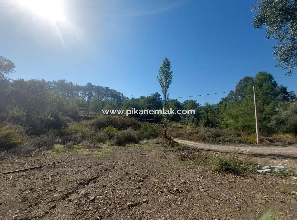 Ortaca Gökbel De Göle Yakın 400 M2 Arazi Devren Satılık