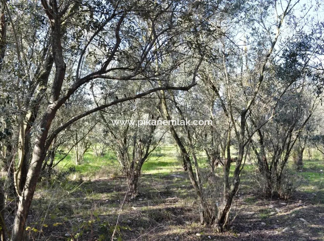 Fethiye Kadıköyde Satılık Müstakil Köy Evi