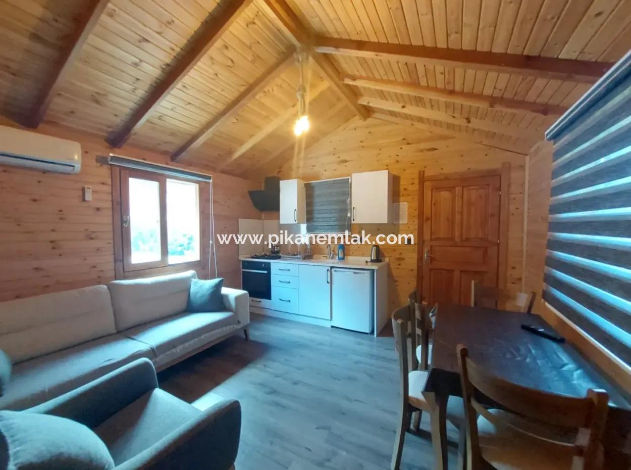 Muğla Ortaca Gökbel  Doga İçinde  Yüzme Havuzlu 1+1 Ahşap Eşyalı Bungalov Kiralık