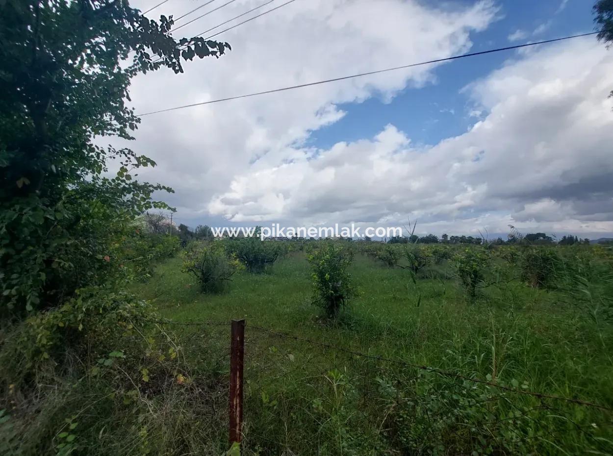 Mugla Dalyan Da 150 M2 İnşaat Hakkı Olan 5.000 M2 Arazi Satılık