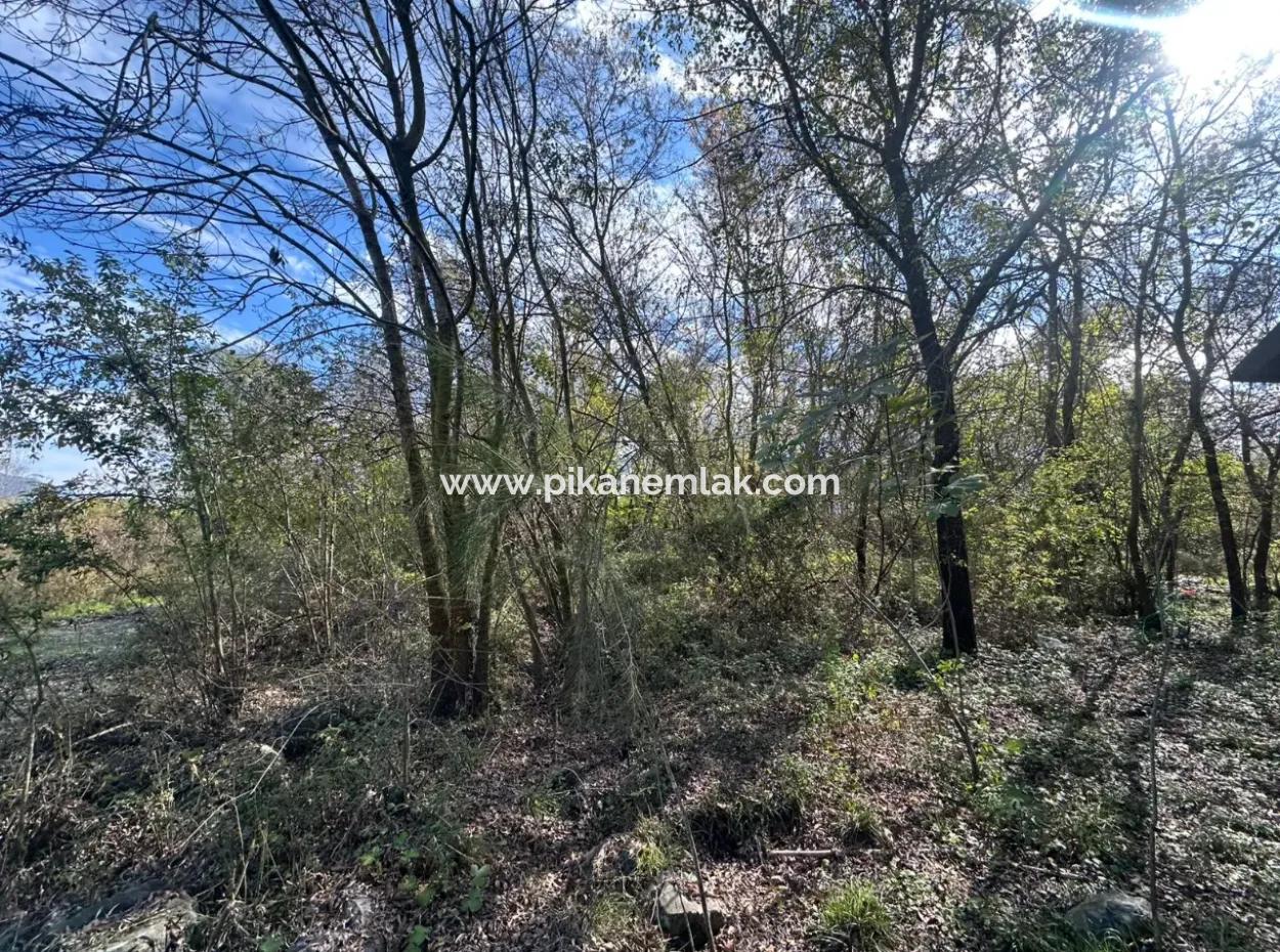 Ortaca Yeşilyurt Da 12 000 M2 Tarla Satılık