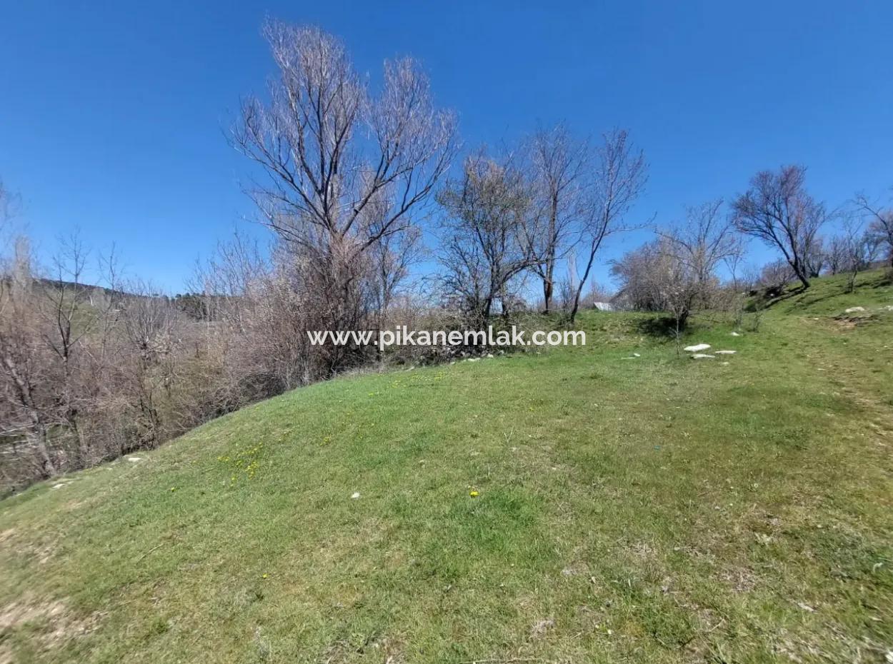 Çameli Cevizli De 750 M2 Mustakil %20/40  İmarlı Arsalar Satılık