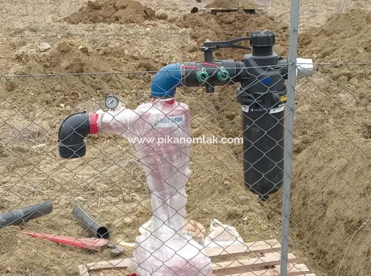 Denizli Tavas Ulukentte 37.000 M2 Ceviz Bahçesi Satılık