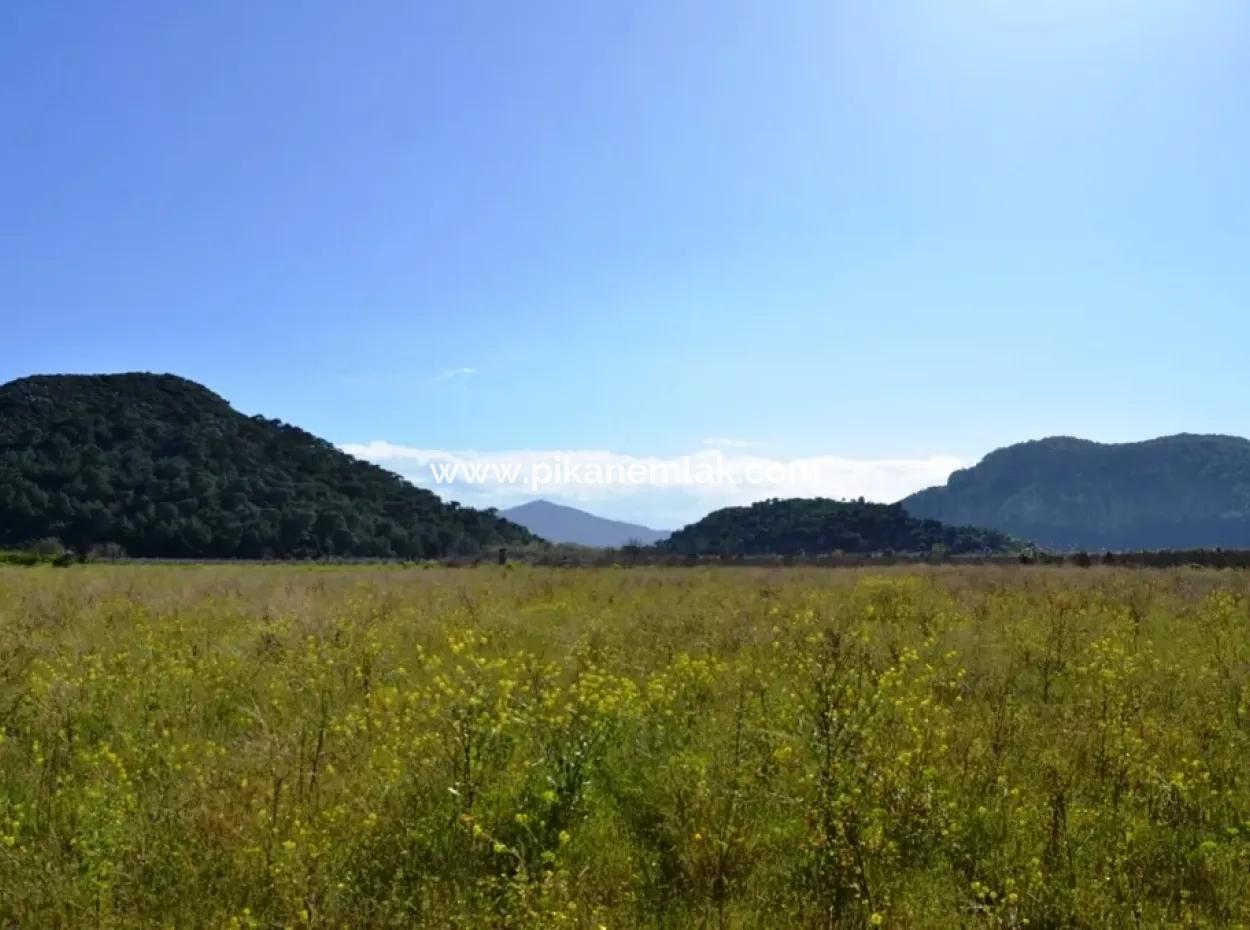 Dalyanda Satılık Müstakil Kelepir Tarla