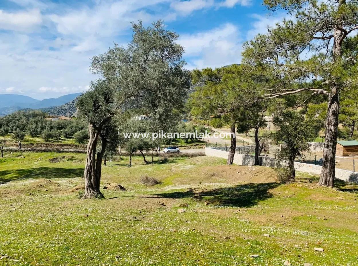 Ortaca Gökbelde Satılık Müstakil Tarla