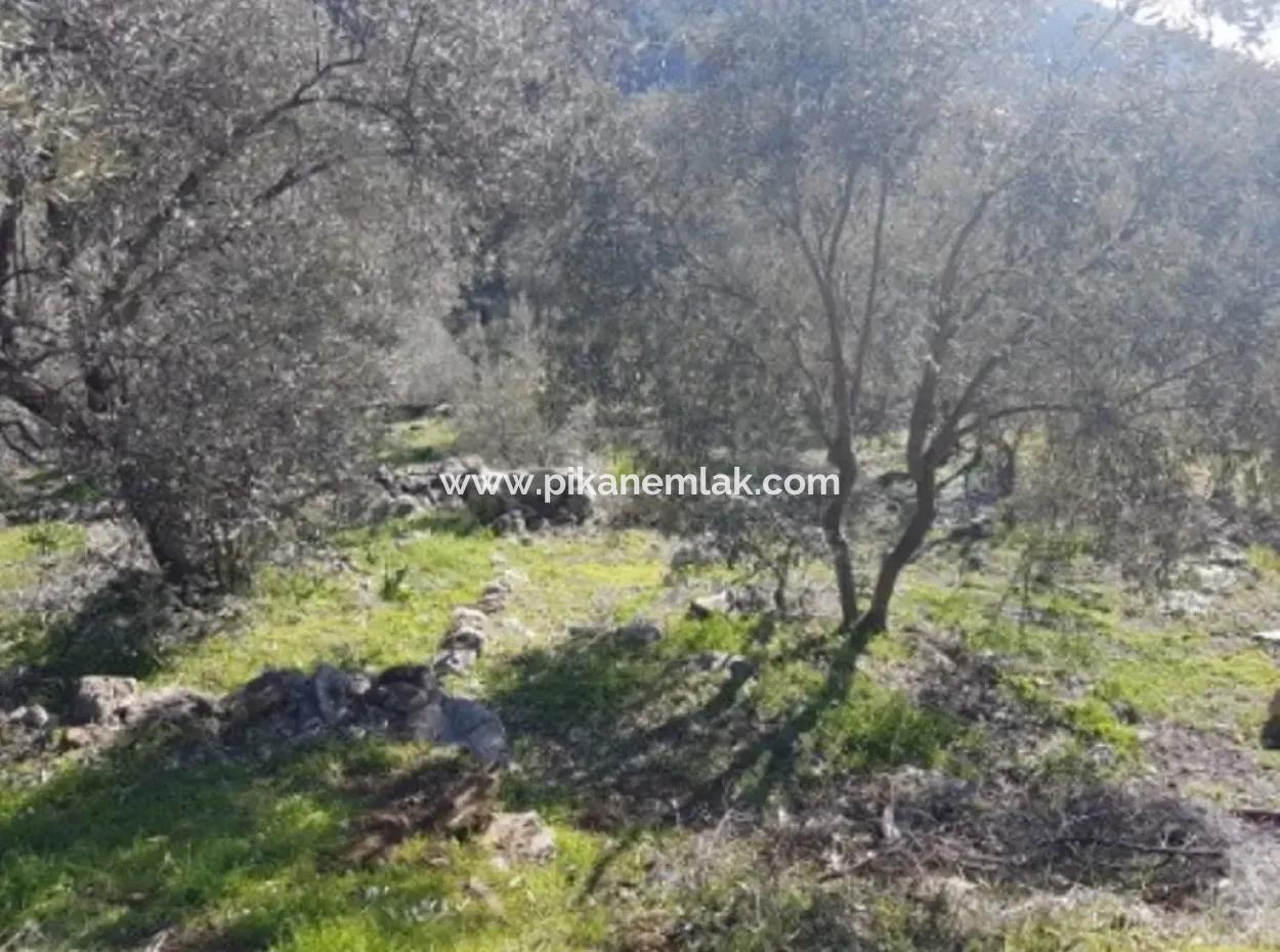 Göcek Gökçeovacıkta Satılık Deniz Manzaralı Arazi