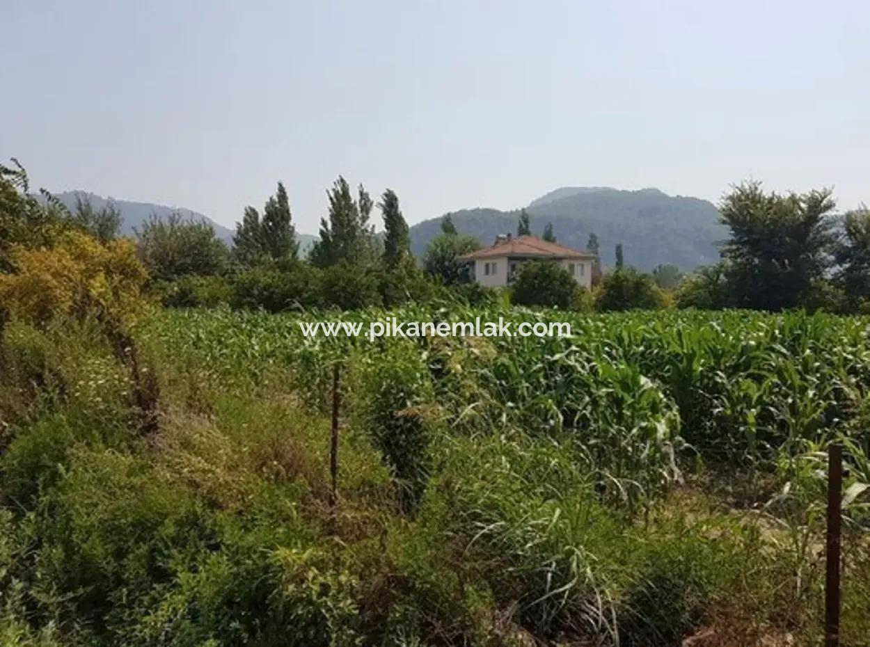 Muğla Ortaca Okçularda Satılık Yatırıma Uygun 3000 M2 Arsa