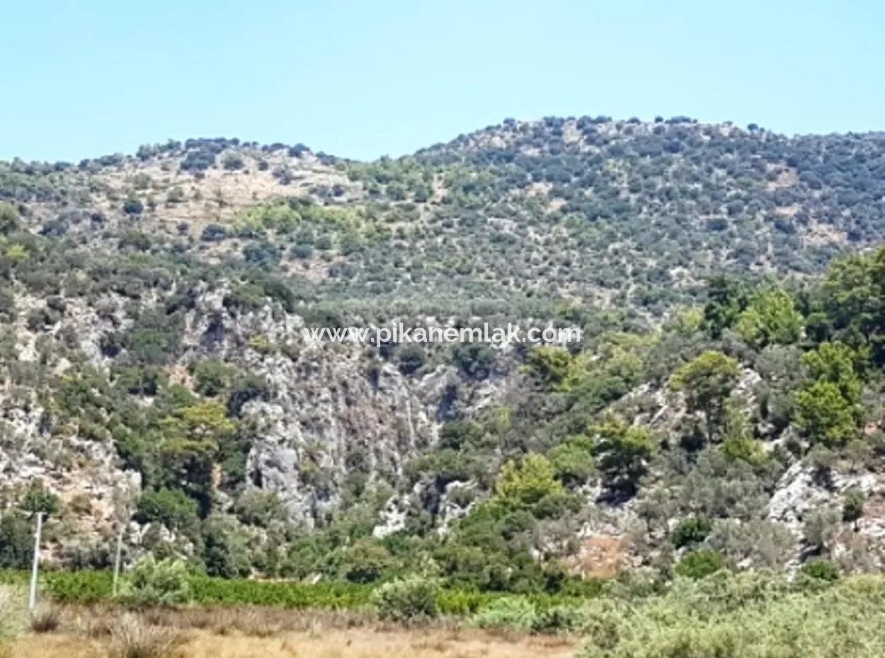 Muğla Dalaman Kapıkargında Satılık Deniz Manzaralı Arazi