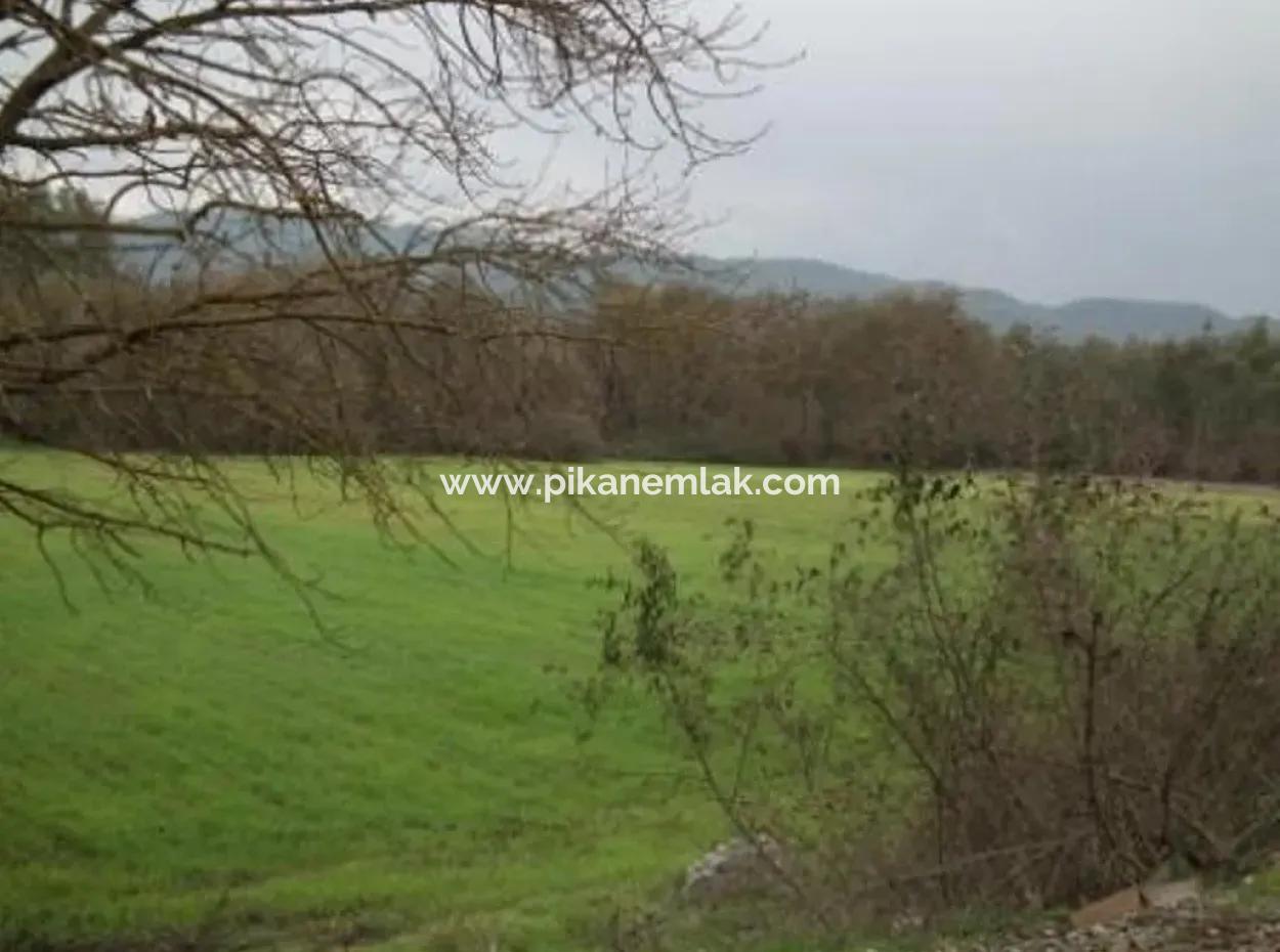Ula Karaböğürtlende Satılık Ana Yola Sıfır Arazi