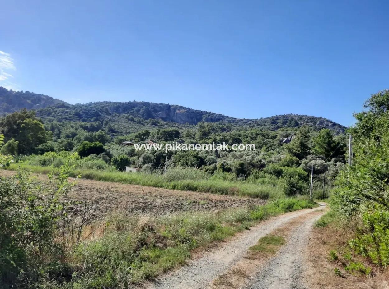 Ortaca Fevziye De Satılık Yola Sıfır Arazi