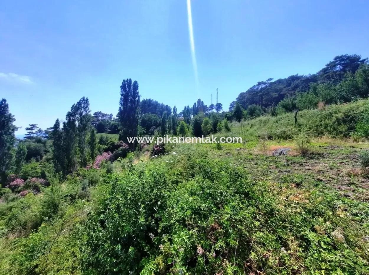 Köyceğiz Yayla, Ağla Köyünde Göl Manzaralı Yatırıma Uygun Müstakil Arazi Satılık